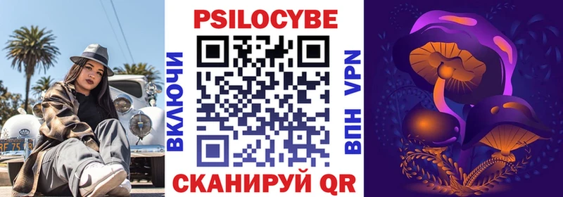 Псилоцибиновые грибы Cubensis  Купить  Избербаш 